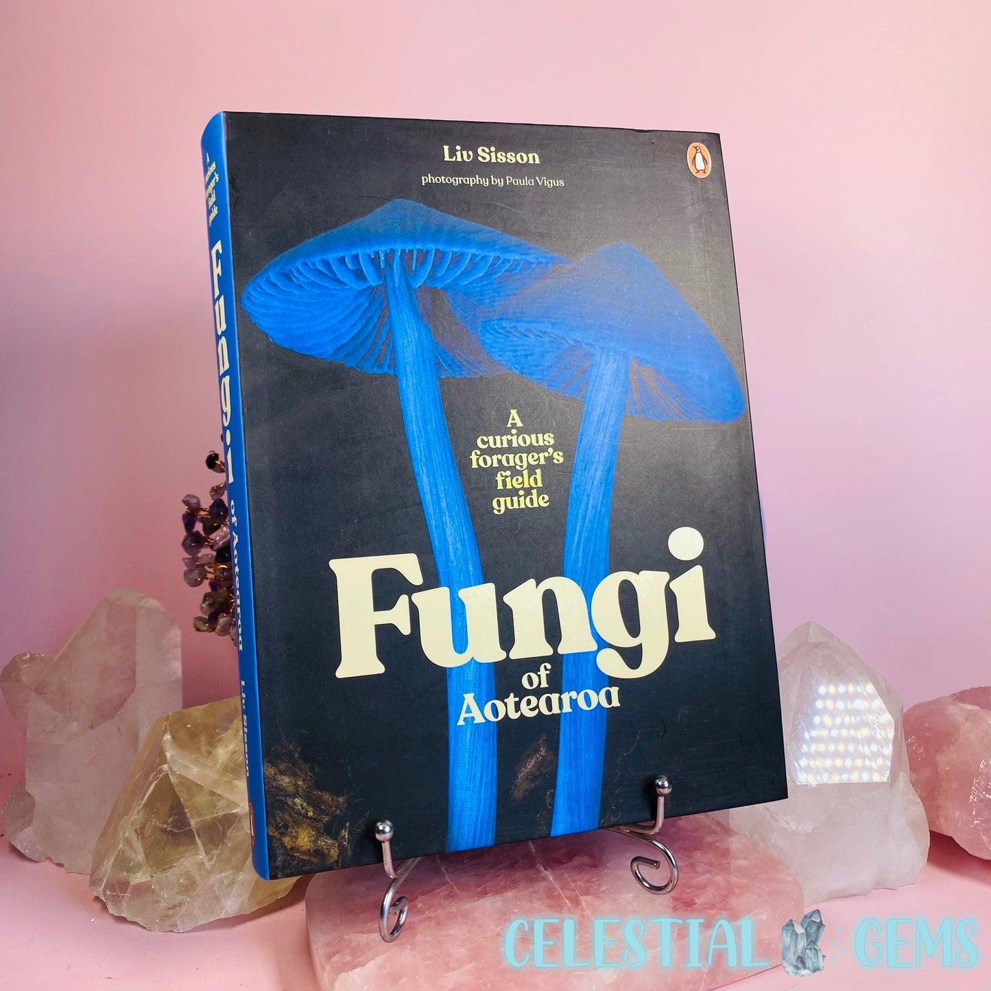 Fungi of Aotearoa Field Guide Book by Liz Sisson