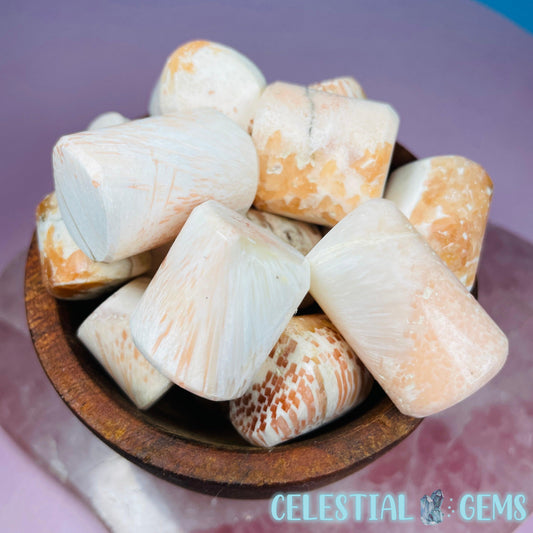 Tumble White Scolecite