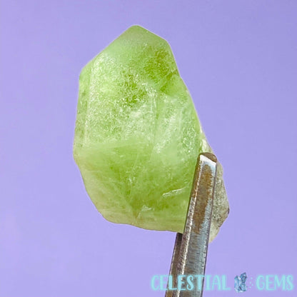 Peridot Mini Crystal Specimen I