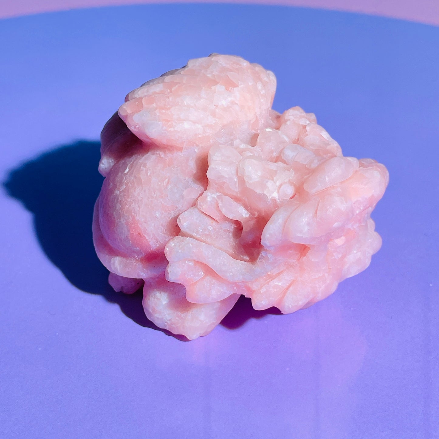 Pink Opal 'Pixiu' Dragon with Offering Shell Medium Carving