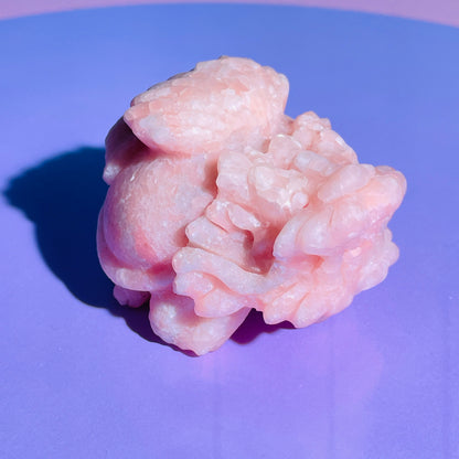 Pink Opal 'Pixiu' Dragon with Offering Shell Medium Carving