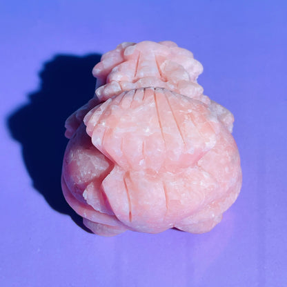 Pink Opal 'Pixiu' Dragon with Offering Shell Medium Carving