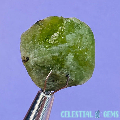 Peridot Small Crystal Specimen T