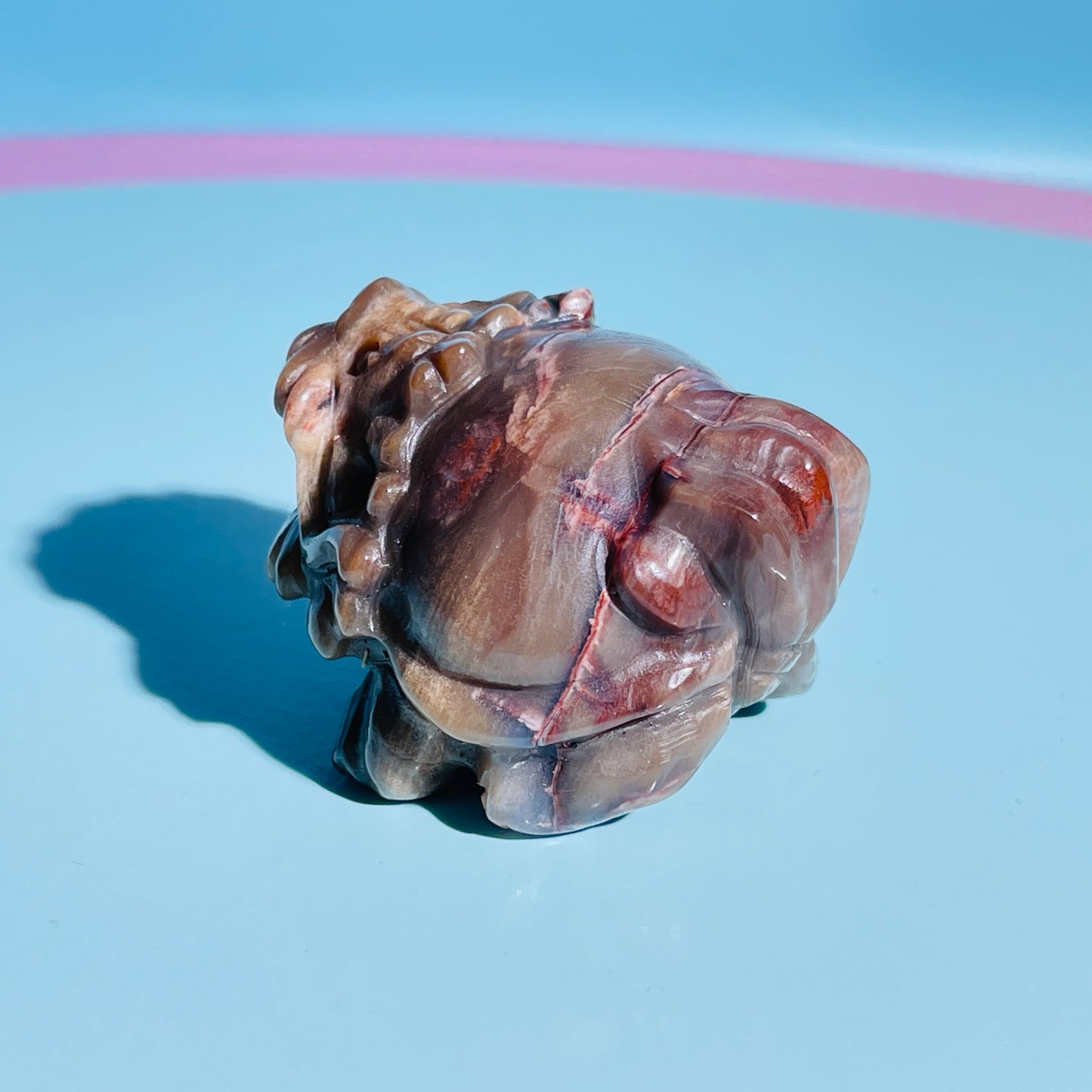 Petrified Wood 'Pixiu' Dragon Small Carving