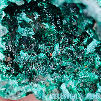 Velvet Malachite Medium Raw Specimen