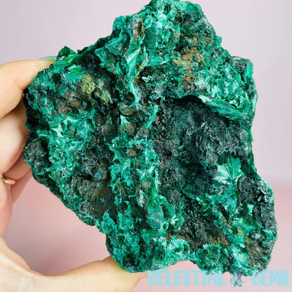 Velvet Malachite Medium Raw Specimen