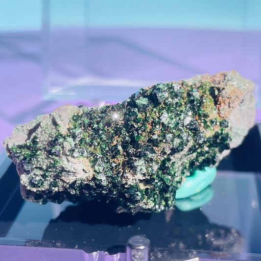 Libethenite Small Cluster Specimen in Box