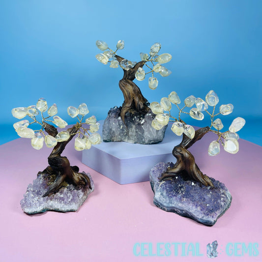 Clear Quartz Tumble Tree with Amethyst Cluster Base - Small