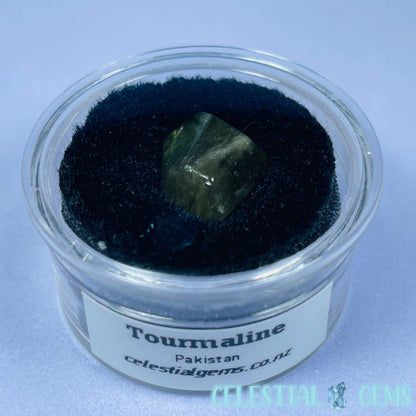 Green Verdilite Tourmaline Faceted Mini Gemstone in Specimen Pottle