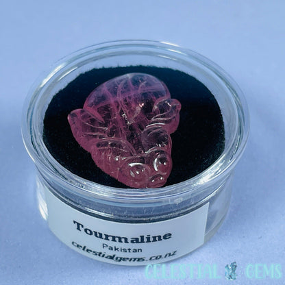 High Grade Pink Rubellite Tourmaline Goldfish Mini Carving in Specimen Pottle (Video)