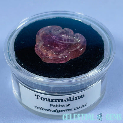 High Grade Watermelon Tourmaline ⚜️ Fleur-De-Lis Mini Carving in Specimen Pottle (Video)