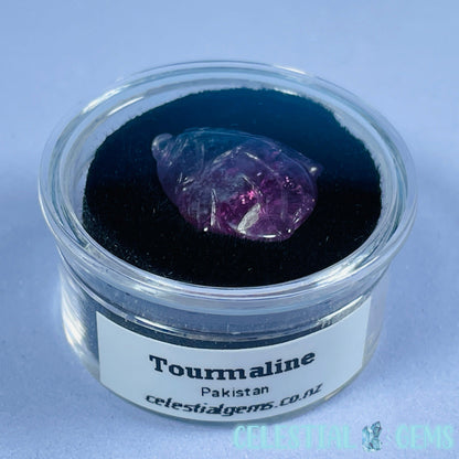 High Grade Pink/Purple Bi-Colour Tourmaline Goldfish Mini Carving in Specimen Pottle (Video)