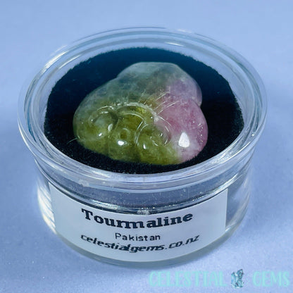 High Grade Pink/Green Bi-Colour Tourmaline ⚜️ Fleur-De-Lis Mini Carving in Specimen Pottle (Video)