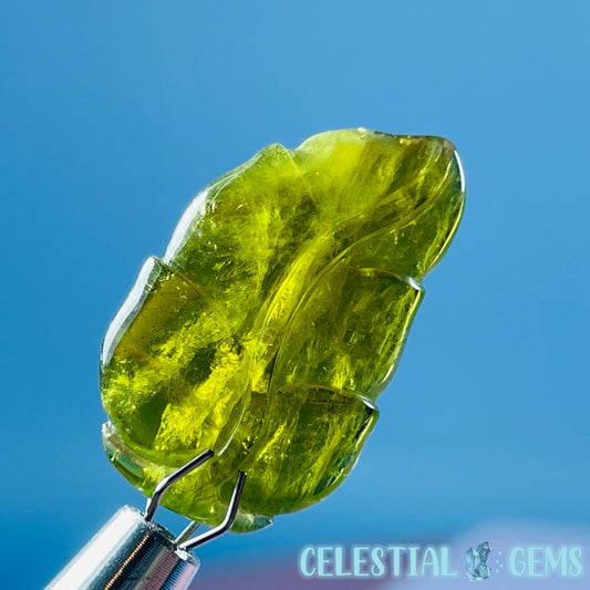 High Grade Green Verdilite Tourmaline Leaf Mini Carving in Specimen Pottle (Video)