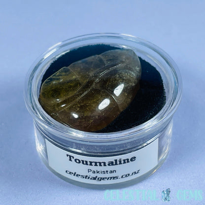 High Grade Orange Dravite Tourmaline Leaf Mini Carving in Specimen Pottle (Video)