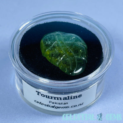 High Grade Green Verdilite Tourmaline Leaf Mini Carving in Specimen Pottle (Video)