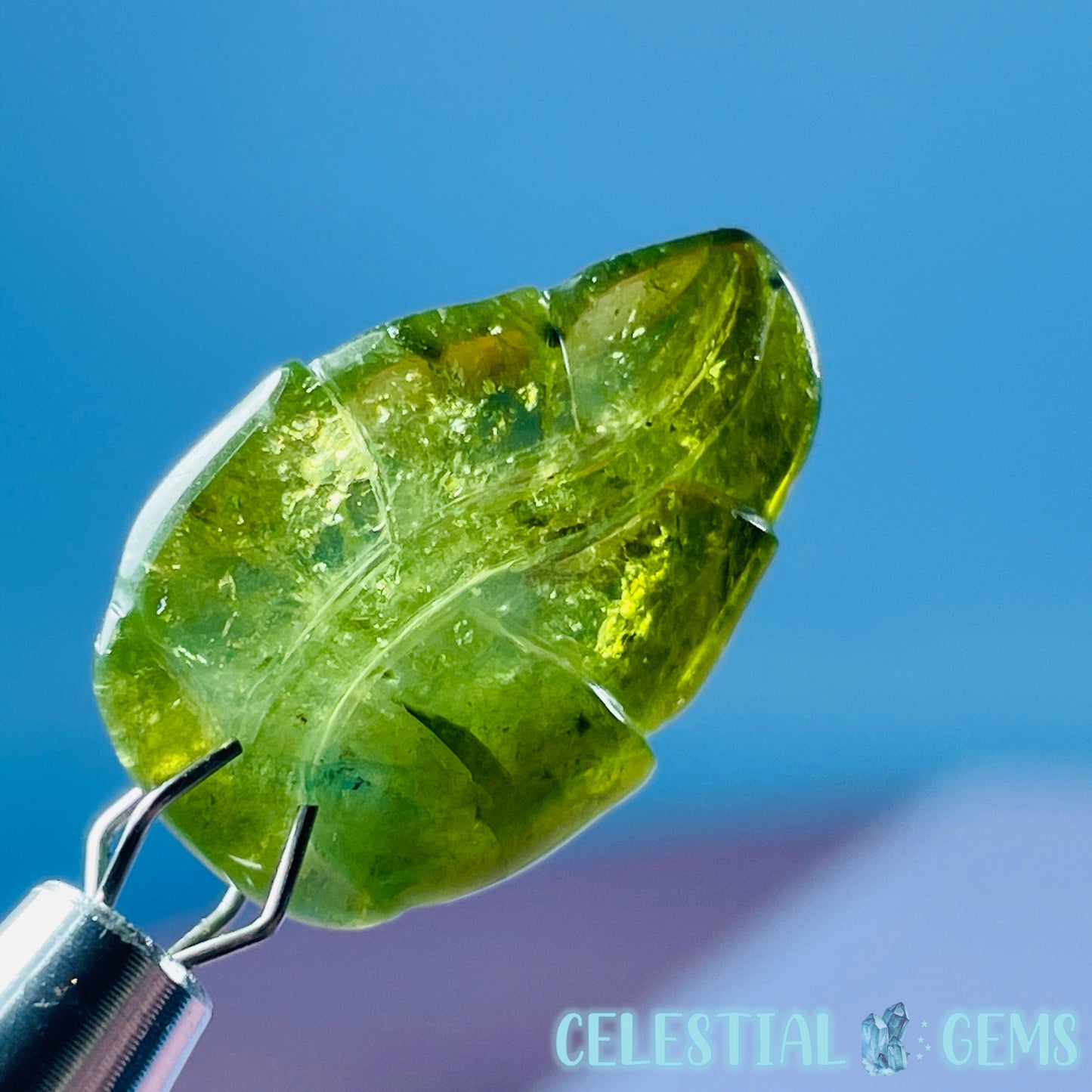 High Grade Green Verdilite Tourmaline Leaf Mini Carving in Specimen Pottle (Video)