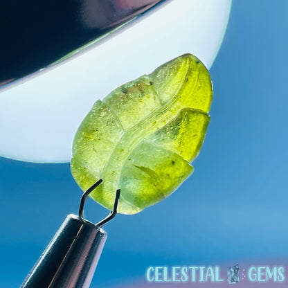 High Grade Green Verdilite Tourmaline Leaf Mini Carving in Specimen Pottle (Video)