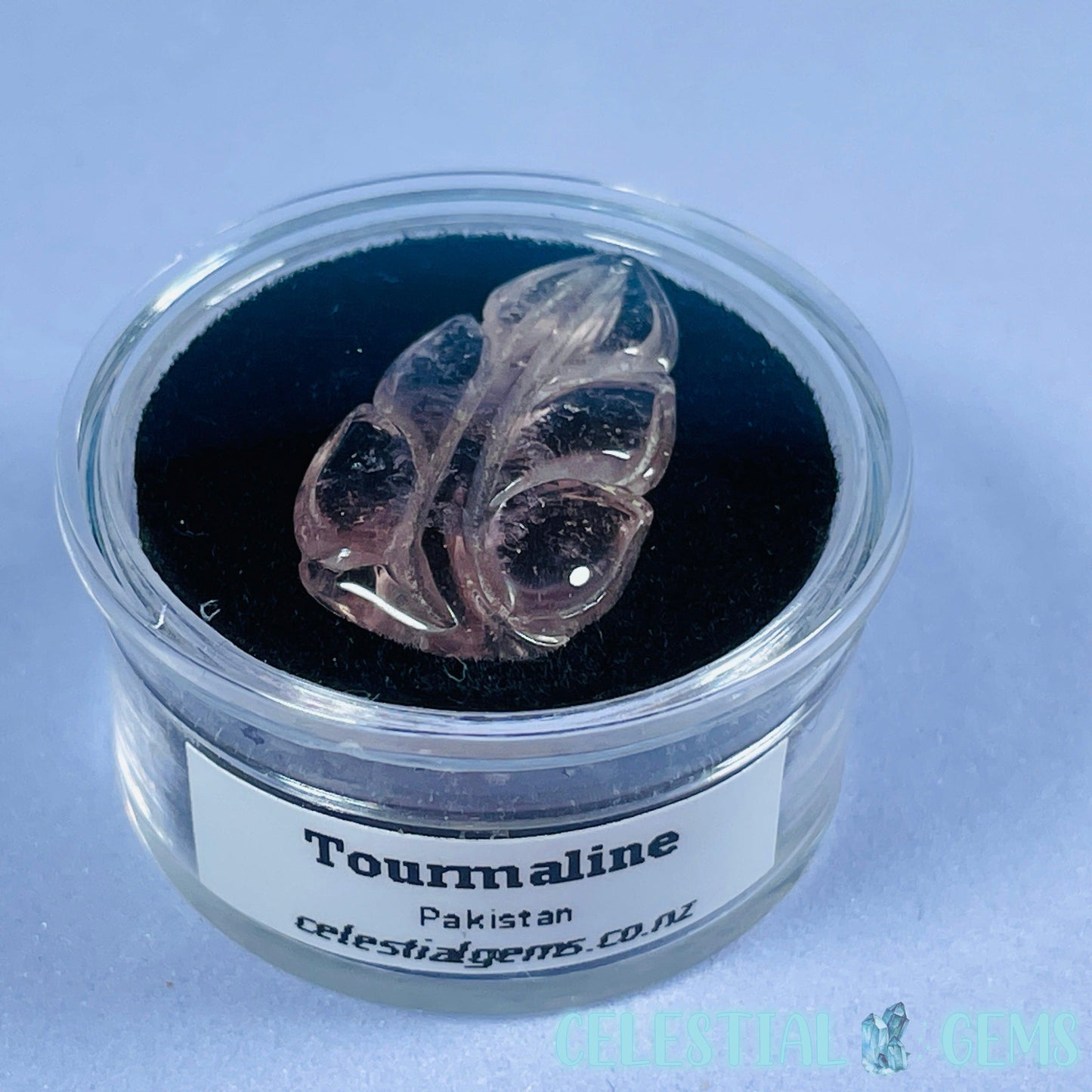 High Grade Pink/Blue Bi-Colour Tourmaline Leaf Mini Carving in Specimen Pottle (Video)