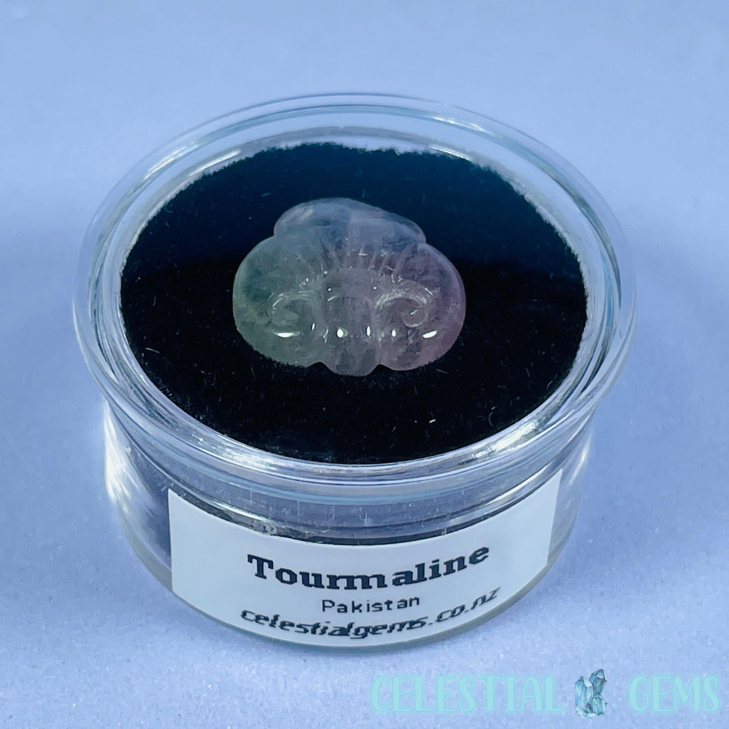 High Grade Pink/Blue Bi-Colour Tourmaline ⚜️ Fleur-De-Lis Mini Carving in Specimen Pottle (Video)