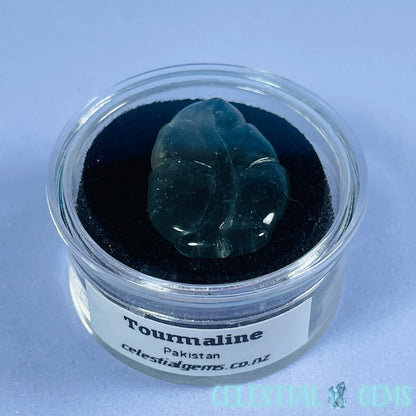 High Grade Seafoam Green Tourmaline Leaf Mini Carving in Specimen Pottle (Video)