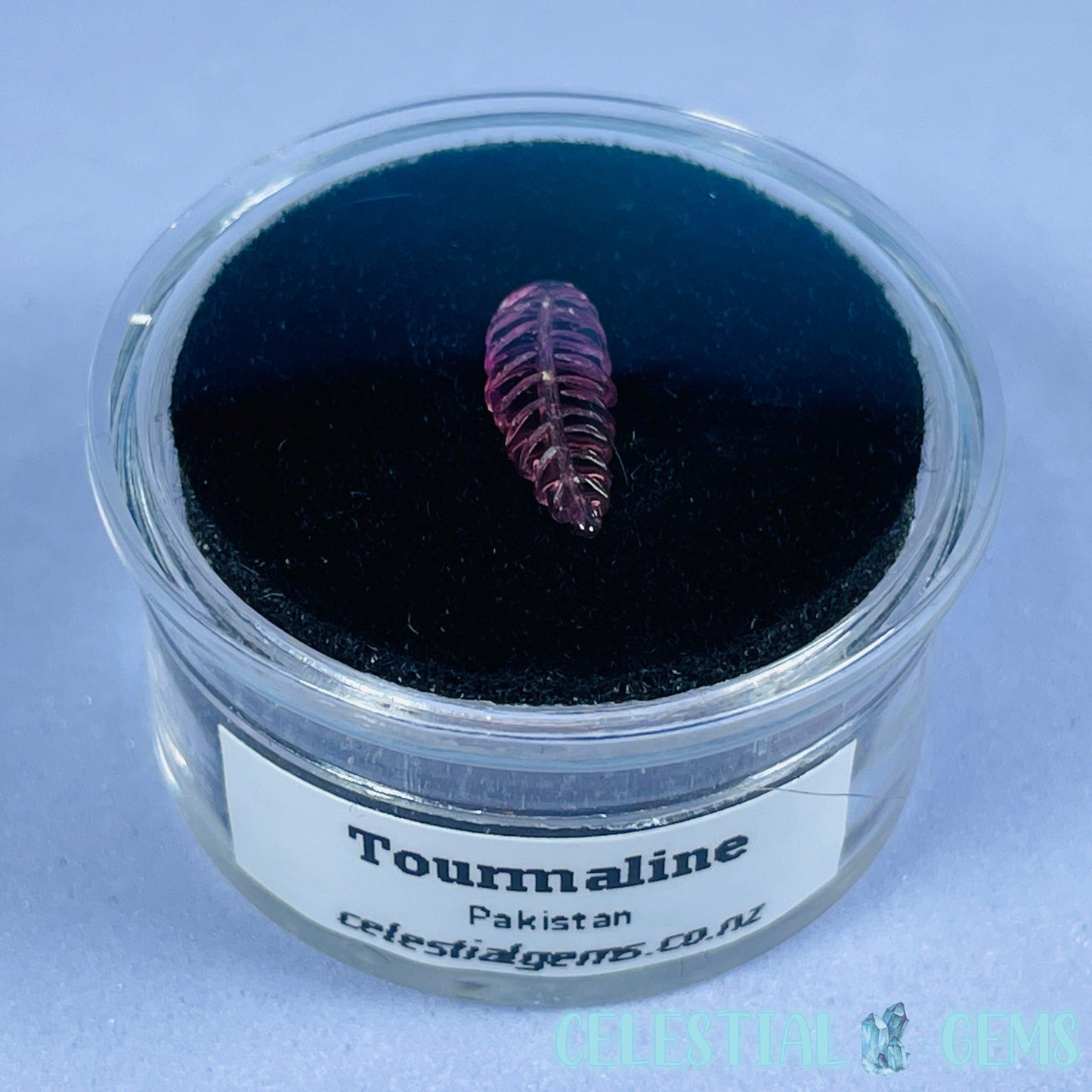 High Grade Pink Rubellite Tourmaline Fern Leaf Tiny Carving in Specimen Pottle (Video)