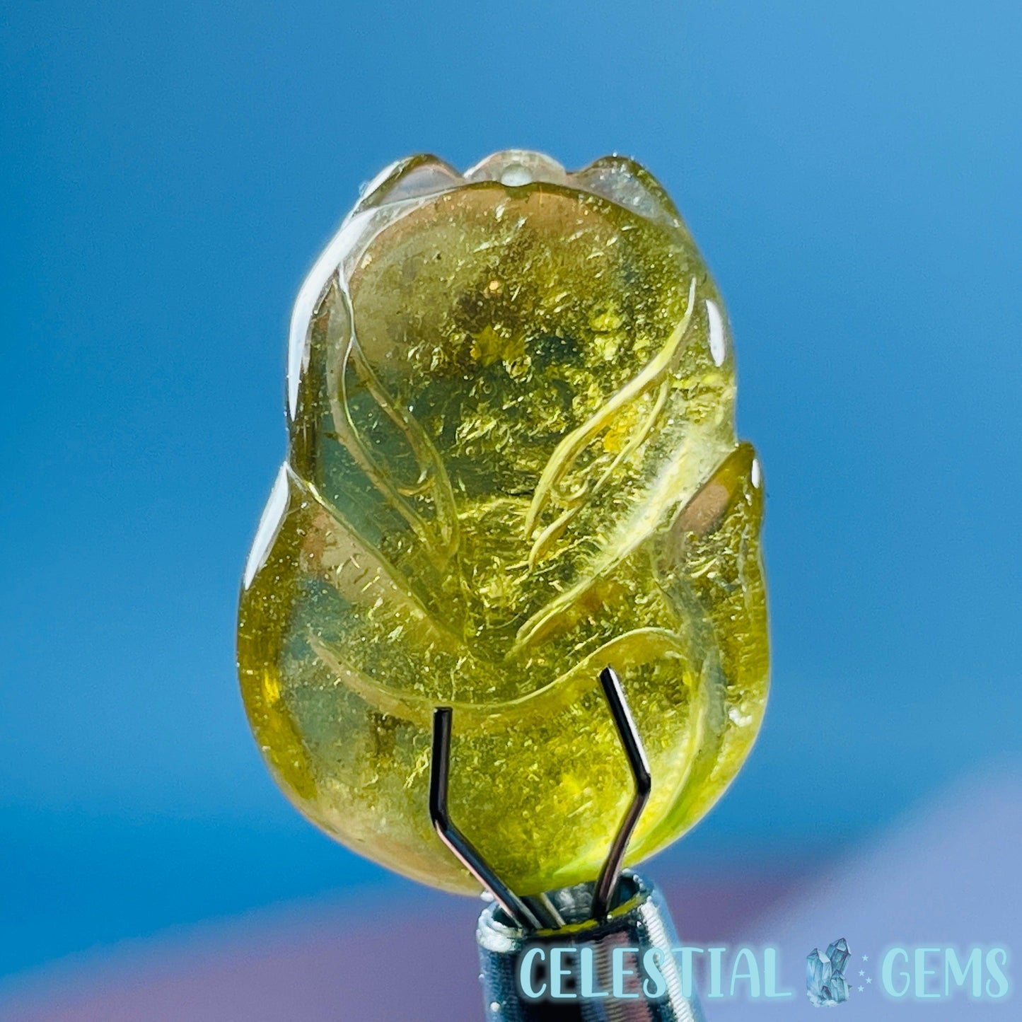 High Grade Yellow Dravite Tourmaline Fox Mini Carving in Specimen Pottle (Video)