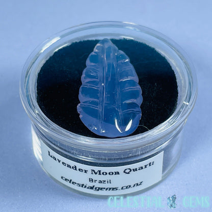 Rare Lavender Moon Quartz Leaf Mini Carving in Specimen Pottle (Video)