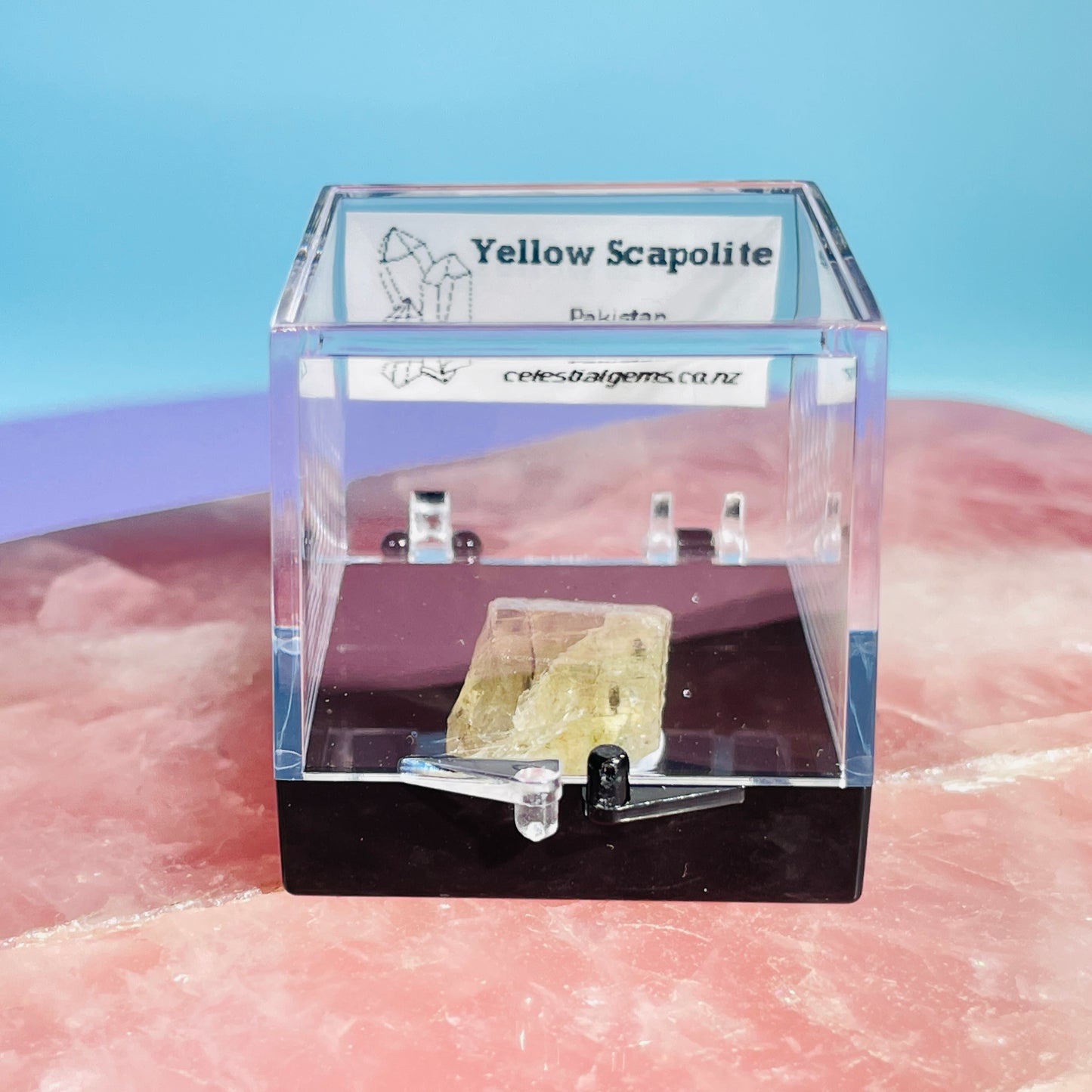 Yellow Scapolite Crystal Specimen in Box