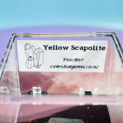 Yellow Scapolite Crystal Specimen in Box