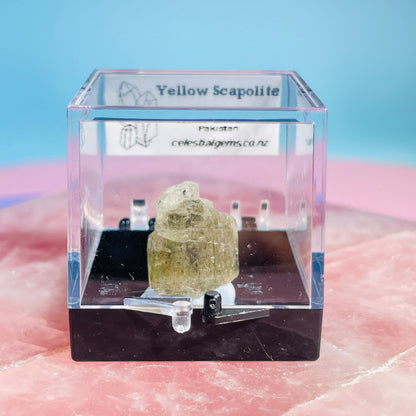 Yellow Scapolite Crystal Specimen in Box