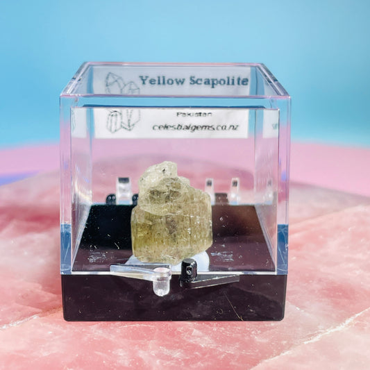 Yellow Scapolite Crystal Specimen in Box