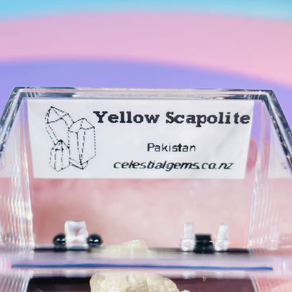 Yellow Scapolite Crystal Specimen in Box