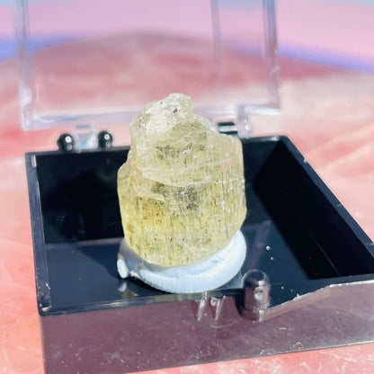 Yellow Scapolite Crystal Specimen in Box