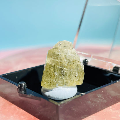 Yellow Scapolite Crystal Specimen in Box