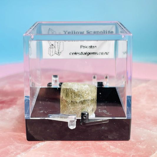 Yellow Scapolite Crystal Specimen in Box