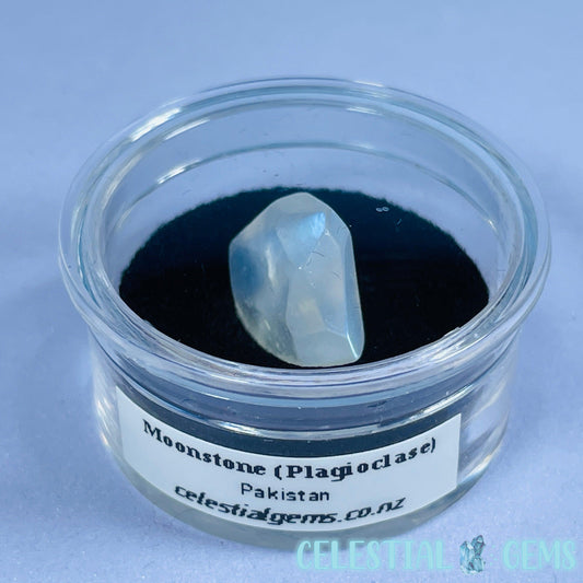 Moonstone (Plagioclase) Faceted Mini Gemstone in Specimen Pottle (Video)