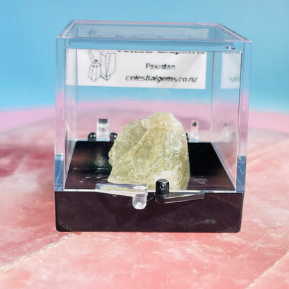 Yellow Scapolite Crystal Specimen in Box