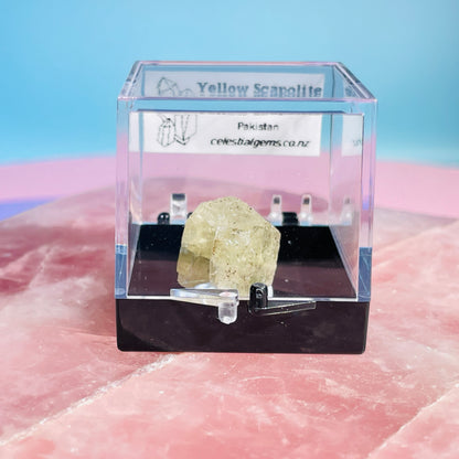 Yellow Scapolite Crystal Specimen in Box