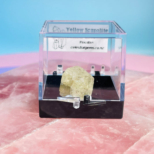 Yellow Scapolite Crystal Specimen in Box