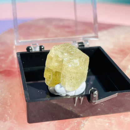 Yellow Scapolite Crystal Specimen in Box