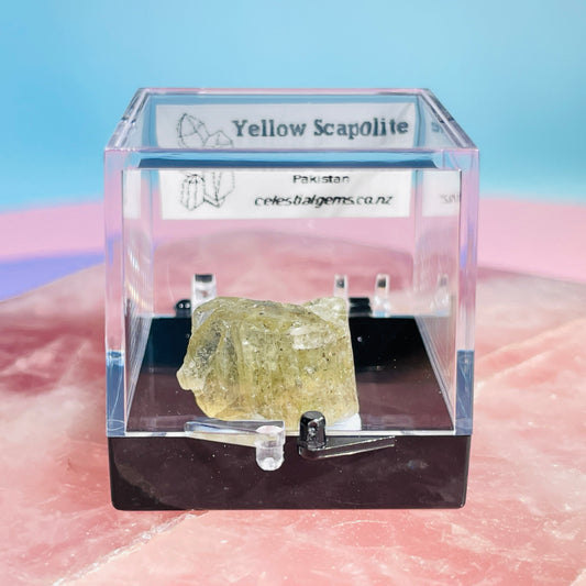 Yellow Scapolite Crystal Specimen in Box