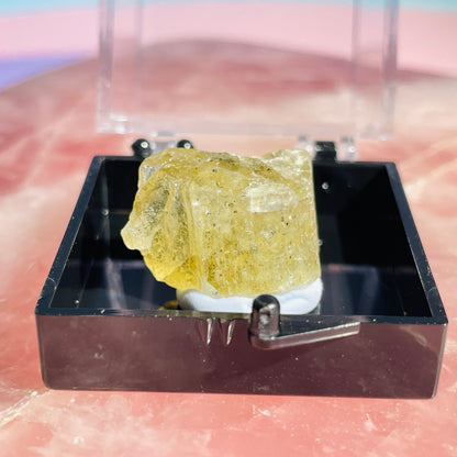 Yellow Scapolite Crystal Specimen in Box