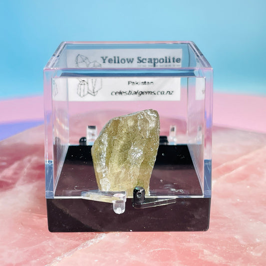 Yellow Scapolite Crystal Specimen in Box
