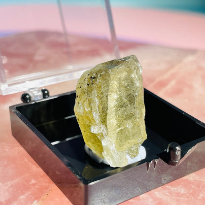 Yellow Scapolite Crystal Specimen in Box