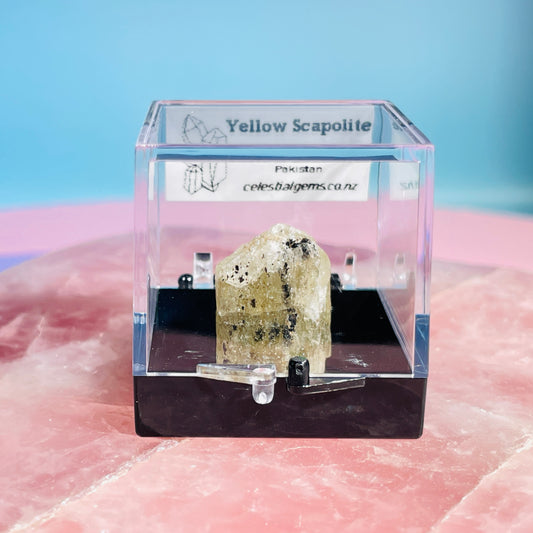 Yellow Scapolite Crystal Specimen in Box
