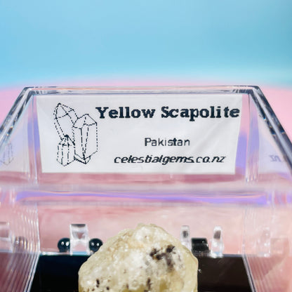 Yellow Scapolite Crystal Specimen in Box
