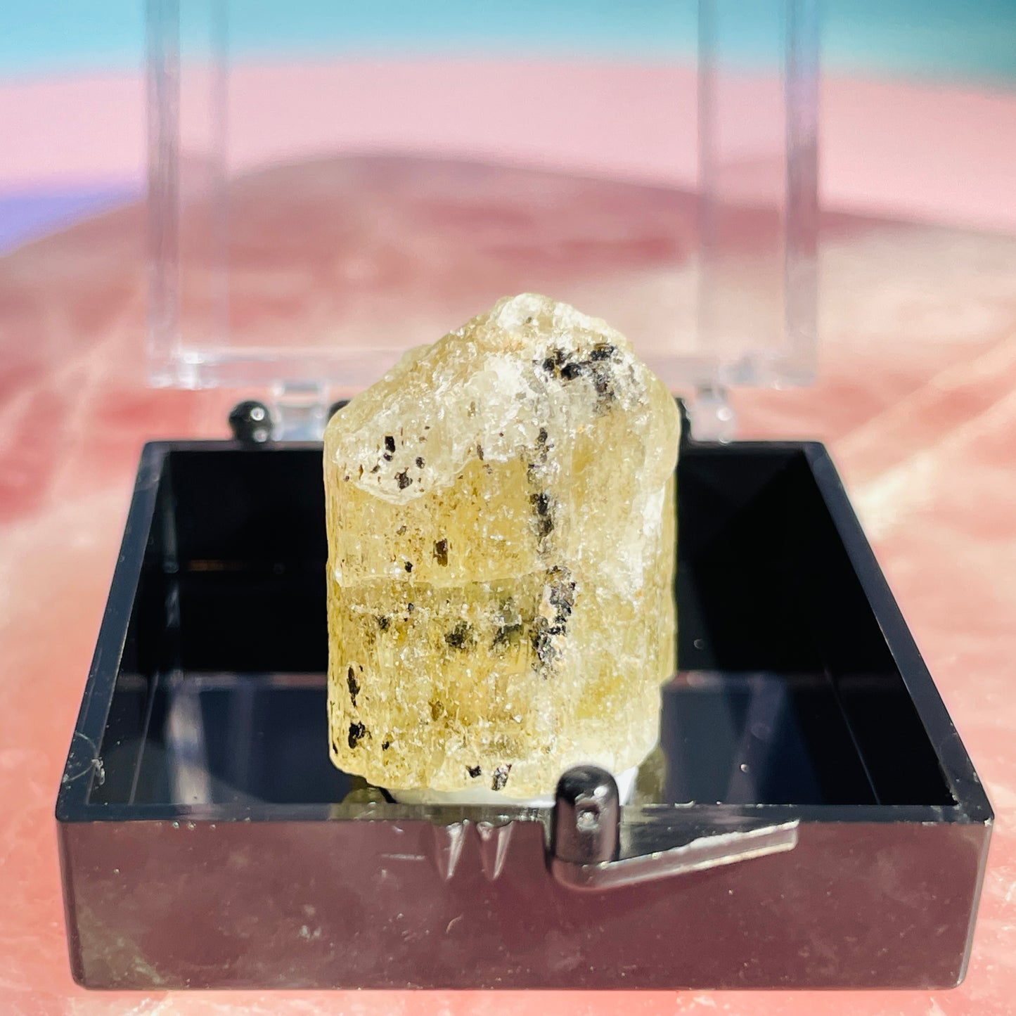 Yellow Scapolite Crystal Specimen in Box
