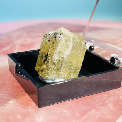 Yellow Scapolite Crystal Specimen in Box
