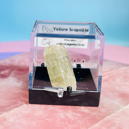 Yellow Scapolite Crystal Specimen in Box